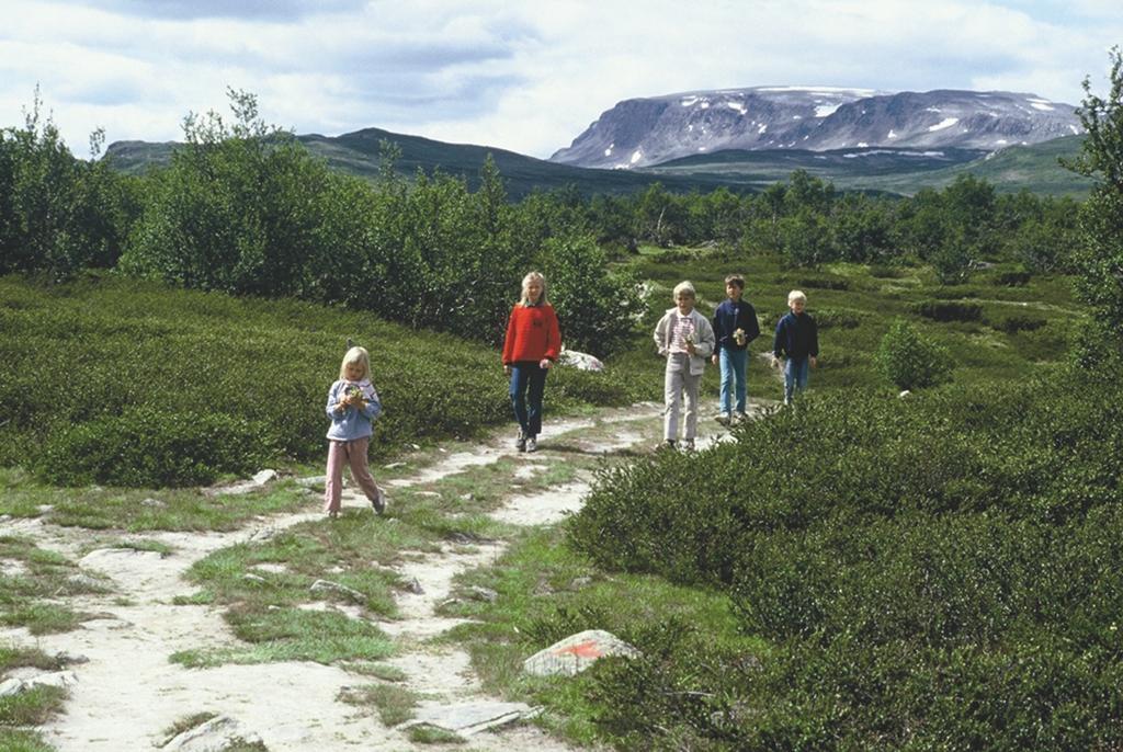 Lia Fjellhotell Geilo Exterior foto